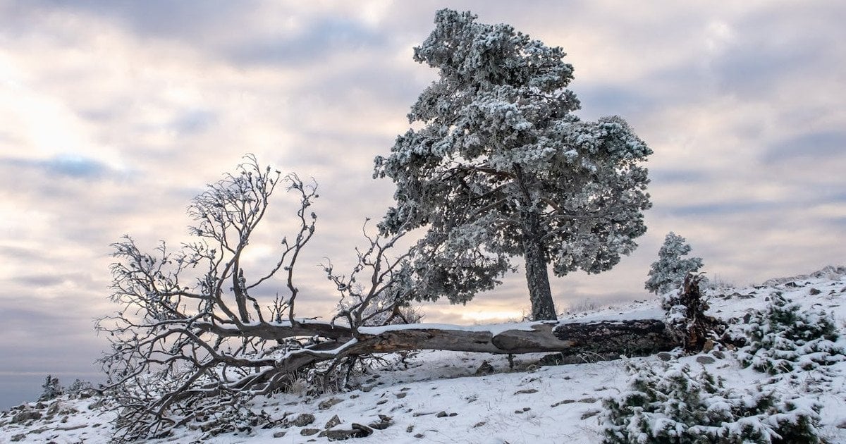Морози відступають
