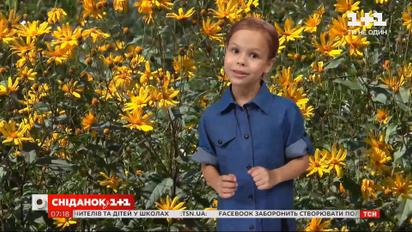 Прогноз погоди на перший осінній вікенд від маленької Фросі