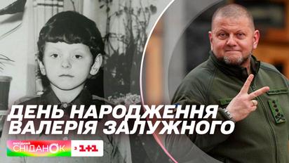 День рождения Залужного: интересные факты из жизни железного генерала