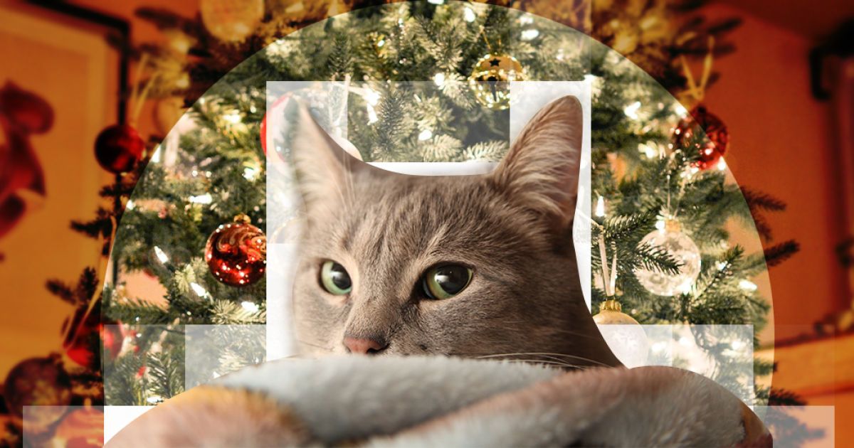 Как защитить елку от детей и животных