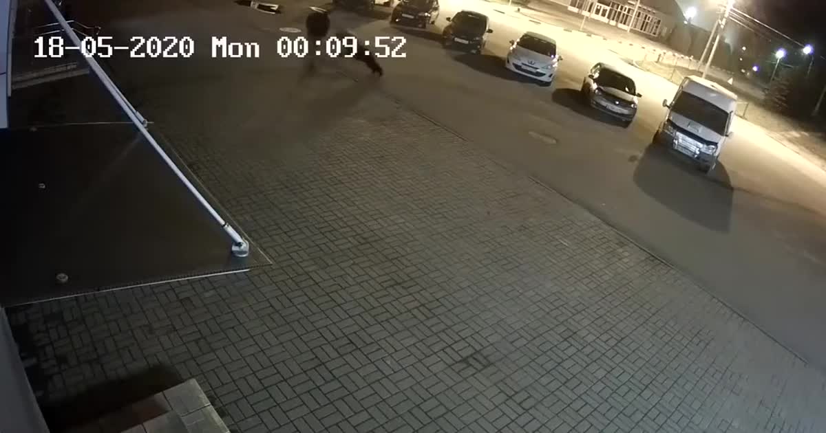 У Росії ведмідь посеред вулиці накинувся на чоловіка: відео нападу оприлюднили в Мережі