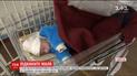 Жители многоэтажки на Сумщине нашли в подъезде младенца