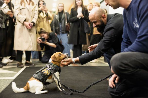 Пес Патрон/Фото KULAKOWSKIY, Андрій Пилипець / ©