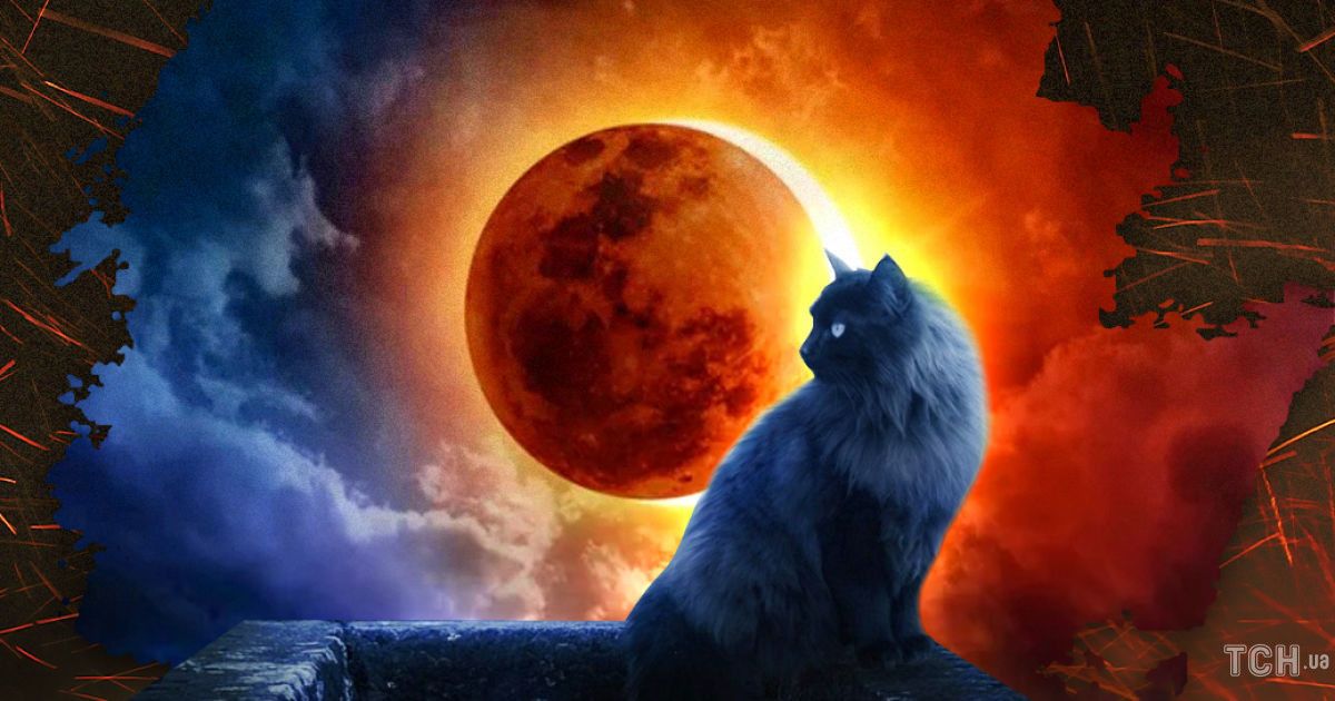 Солнечное затмение 4 декабря: что можно и категорически запрещено делать
