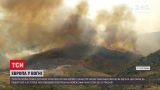 Новости мира: в нескольких европейских странах не утихают сильные лесные пожары