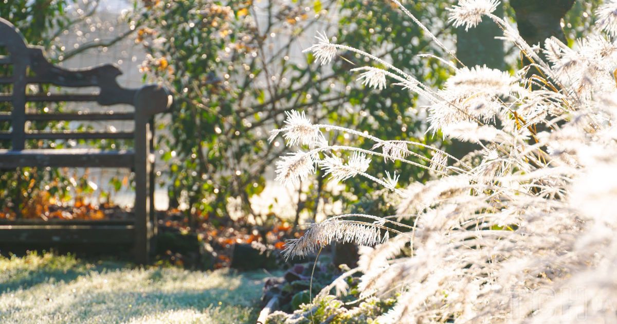 Гороскоп на 29 января для всех знаков Зодиака