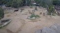 Слоны в зоопарке Сан-Диего