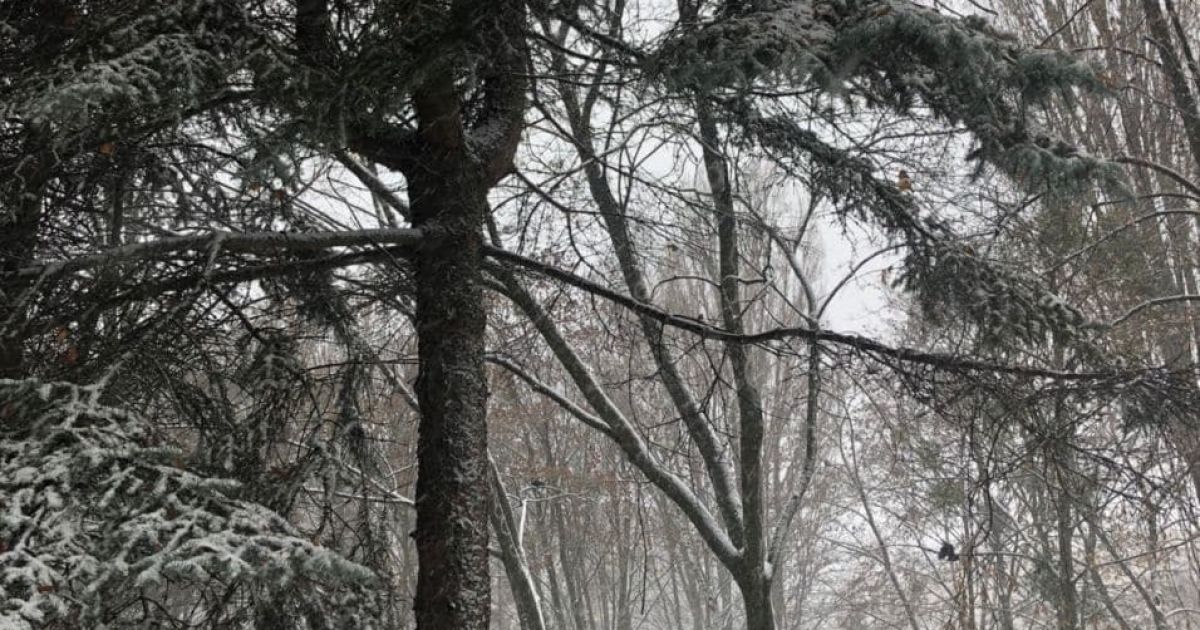 Снег в Голосеевском районе