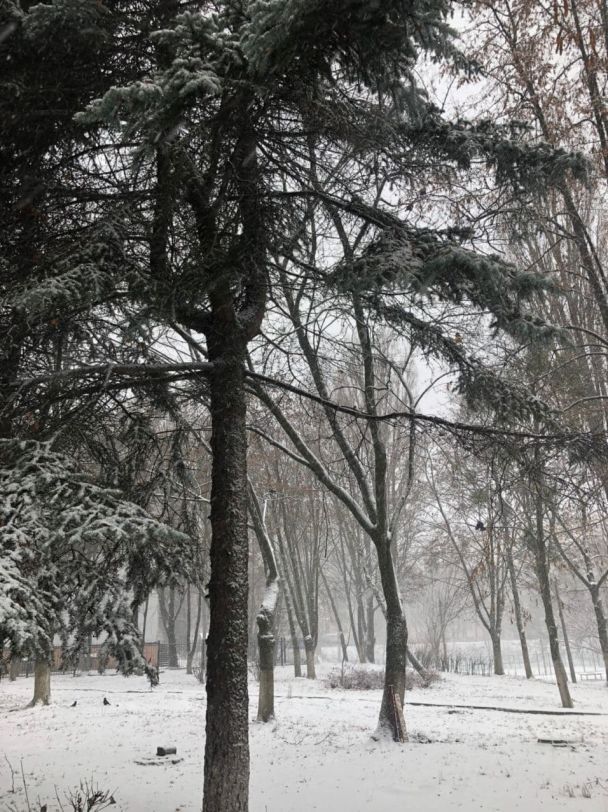 Снег в Голосеевском районе