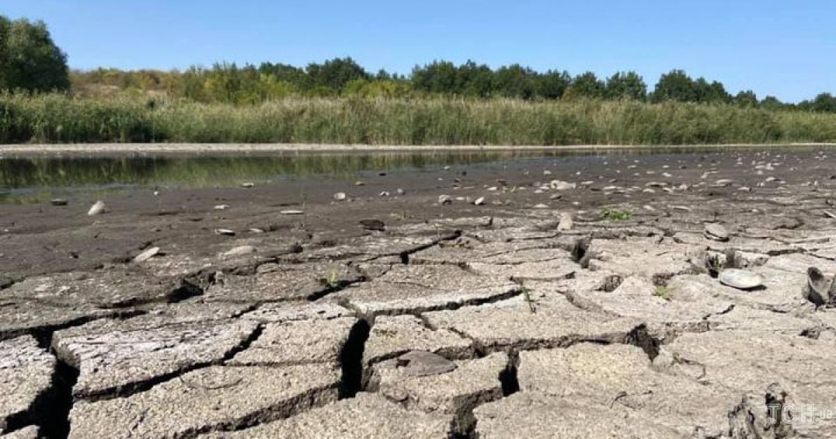 У Кіровоградській області жителі кількох сіл потерпають від посухи