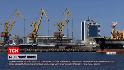 Біля Одеси шукають безпечні шляхи для суден з українським зерном