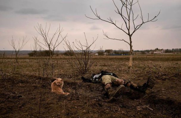 Убитый оккупантами мирный житель / © Vadim Ghirda