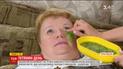 Експеримент ТСН: косметолог розсекретила рецепти доступної косметики з городу