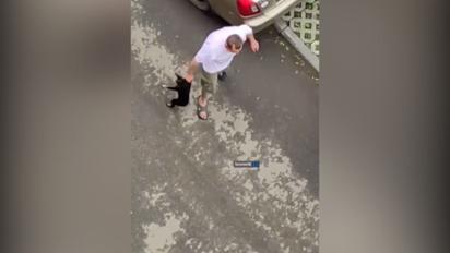 У Харкові чоловік знущався із собаки 