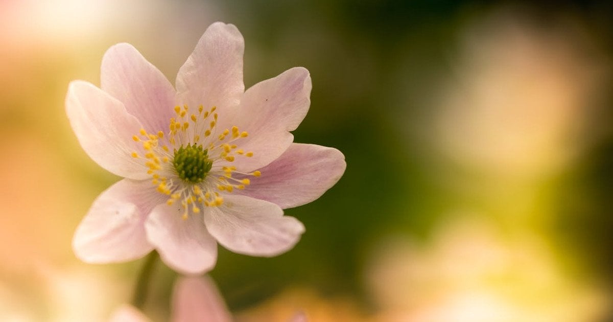 Який сьогодні, 26 березня, день ангела