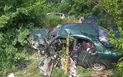 Пасажирка померла на місці, а водій - у лікарні: наслідки ДТП на Житомирщині