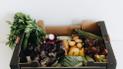 Fruit and Vegetable Prices Skyrocket in Ukraine: What’s the Cost in Different Cities?