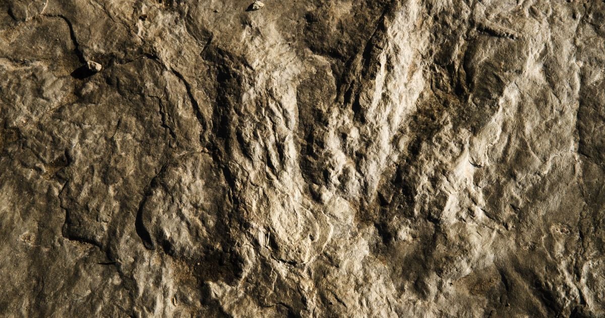 Сліди динозаврів