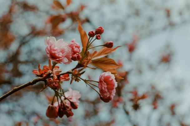 Народні прикмети 13 квітня / © Pexels
