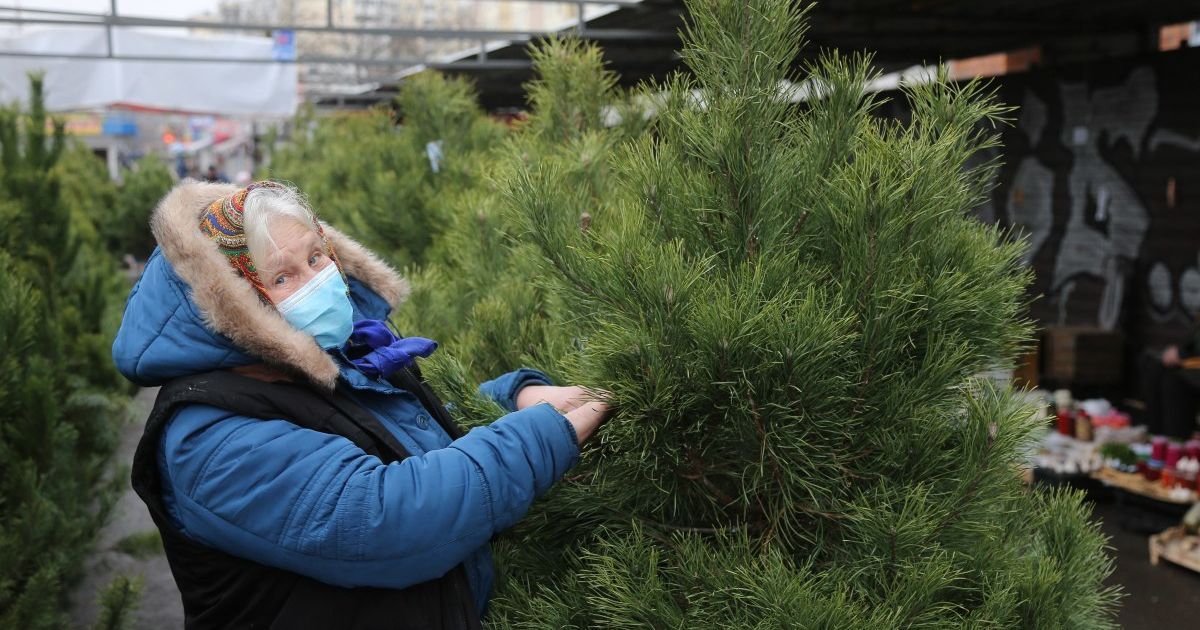 Ялинкові базари у Києві: у скільки стане новорічне дерево