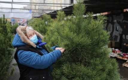 Ялинкові базари у Києві: у скільки стане новорічне дерево