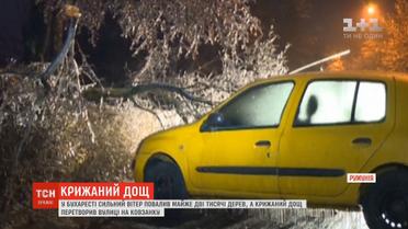 У Бухаресті сильний вітер повалив майже дві тисячі дерев