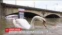 Во французской столице вышла из берегов Сена