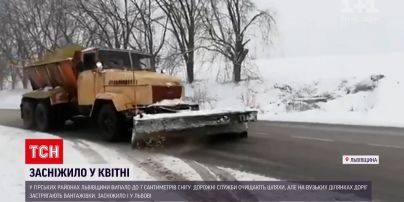 Новости Украины: во Львове и области выпал апрельский снег