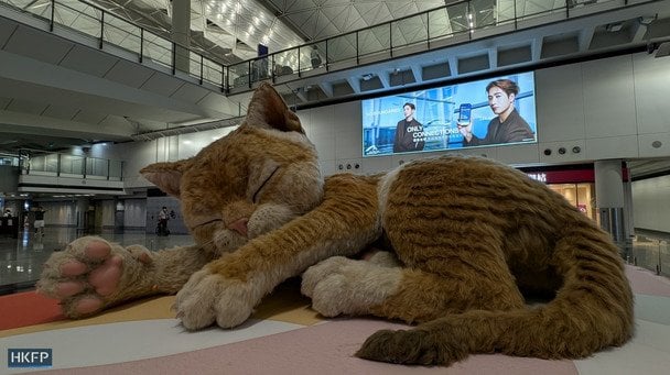 Аеропорт Гонконгу встановив інсталяцію рудого кота. Фото: HKFP﻿