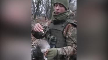 Военный из Ровно надругался над телом кошки