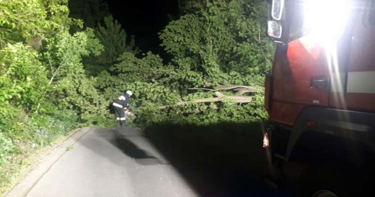 Ураганний вітер у Дніпрі валив дерева і блокував дороги