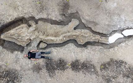 "Я нашел динозавра": смотритель заповедника сделал крупнейшую в истории Британии палеонтологическую находку