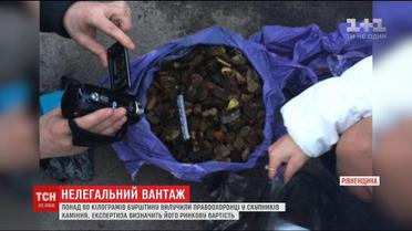 65 кілограмів бурштину вилучили правоохоронці за добу на Рівненщині