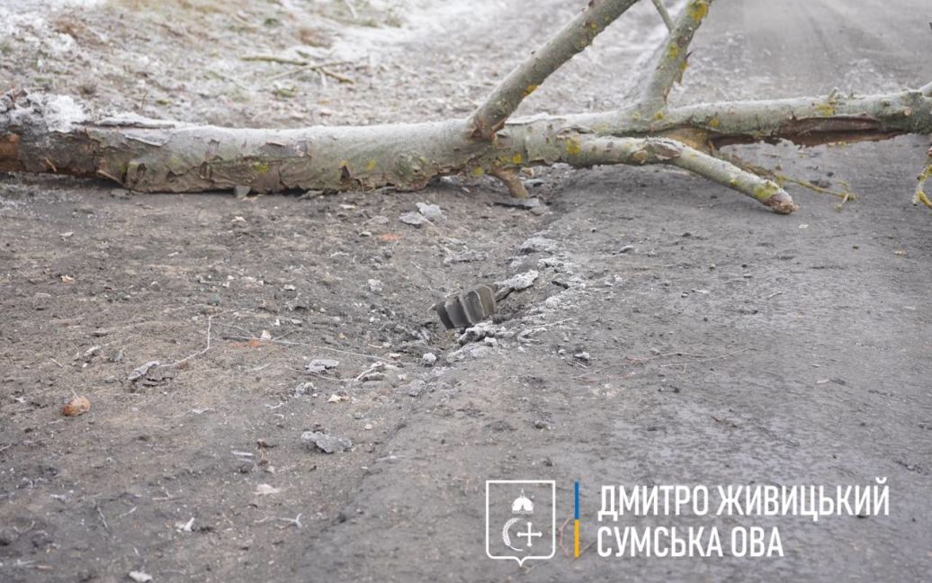 © Голова Сумської обласної військової адміністрації Дмитро Живицький