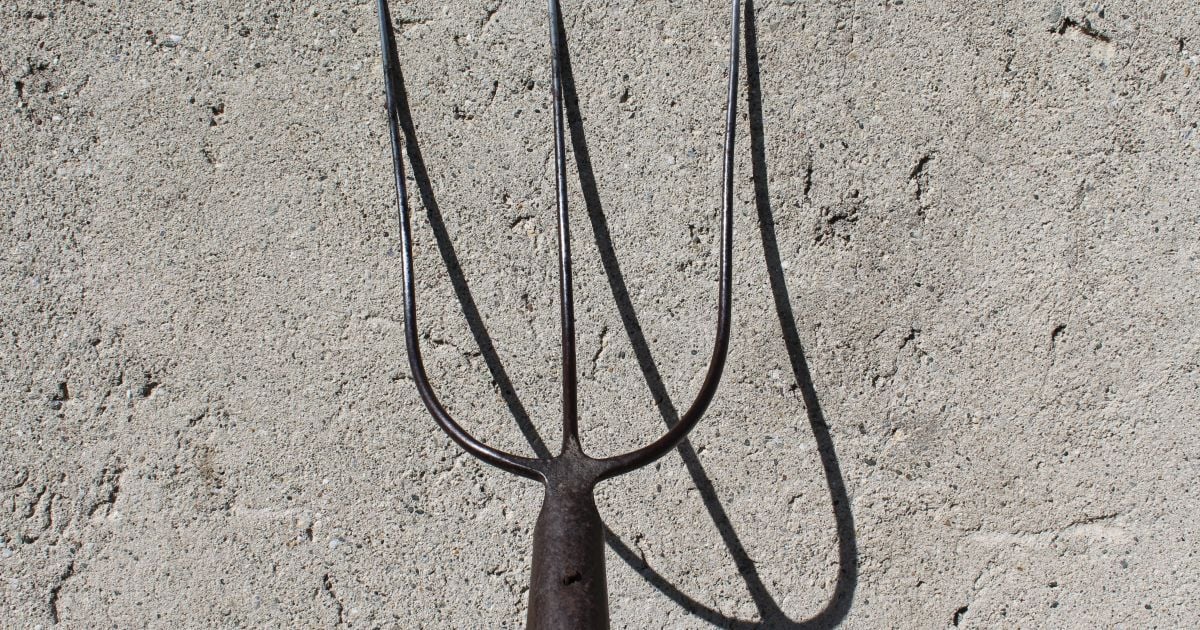 Под Киевом отец и сын напали на полицейских с вилами: их останавливали выстрелами