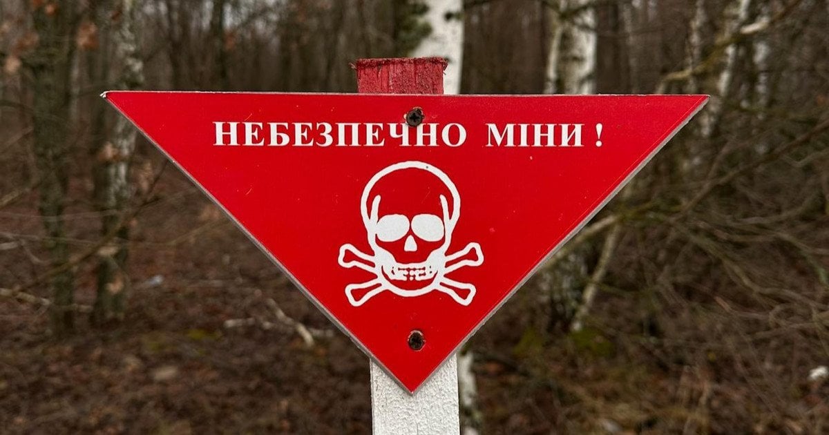 Двоє українських саперів загинули під час роботи на Херсонщині — що відомо про трагедію