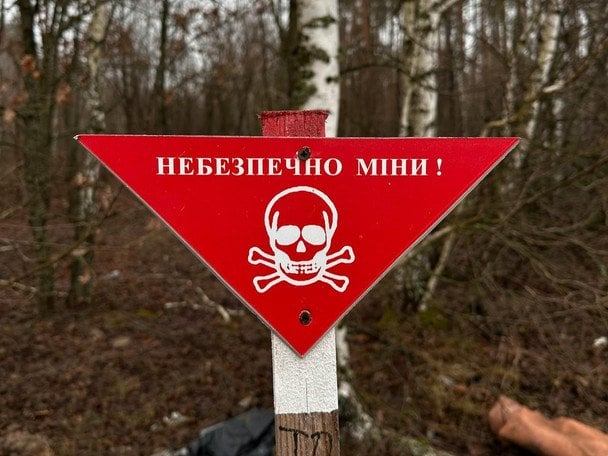 4 апреля Международный день просвещения по вопросам минной опасности и помощи в деятельности, связанной с разминированием / © pexels.com