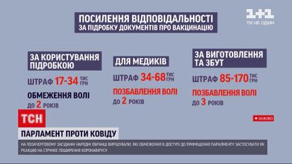 "Красная зона" – депутаты решали, кого и на каких условиях пускать в помещение Верховной Рады