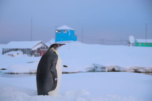 Фото Александр Мацибура и Анна Соиний.
