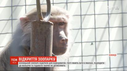Соскучились по посетителям: винницкий зоопарк открылся для экскурсий