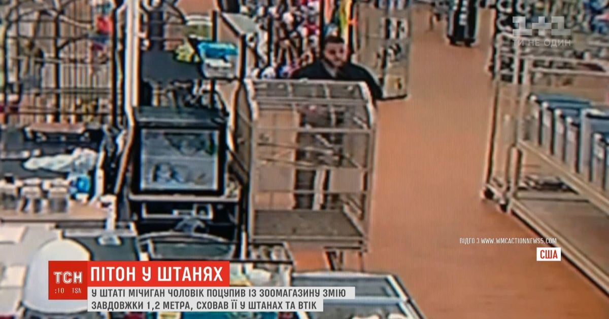 Американец украл питона, спрятал его в брюках и убежал