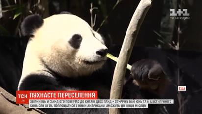 Звіринець в Сан-Дієго повертає до Китаю двох панд