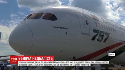 Понад 300 людей загинули внаслідок приховування проблем із літаком Boeing 737 MAX