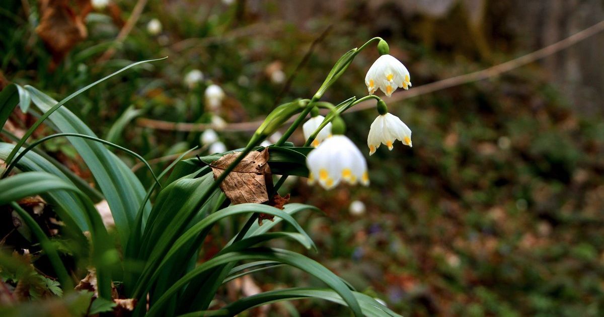 Дождь на Востоке страны