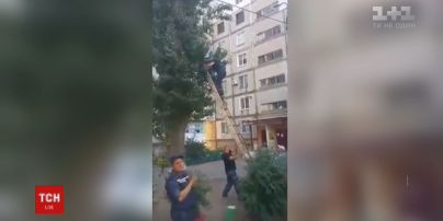 В Николаеве спасателям пришлось снимать ребенка с тополя