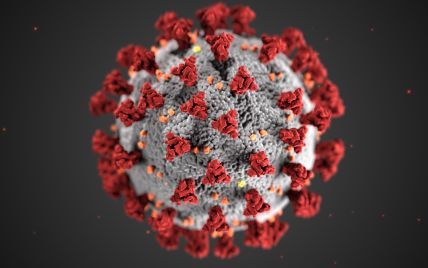 Вопрос открыт: в ЦРУ заявили, что мир может никогда не узнать, откуда взялся коронавирус
