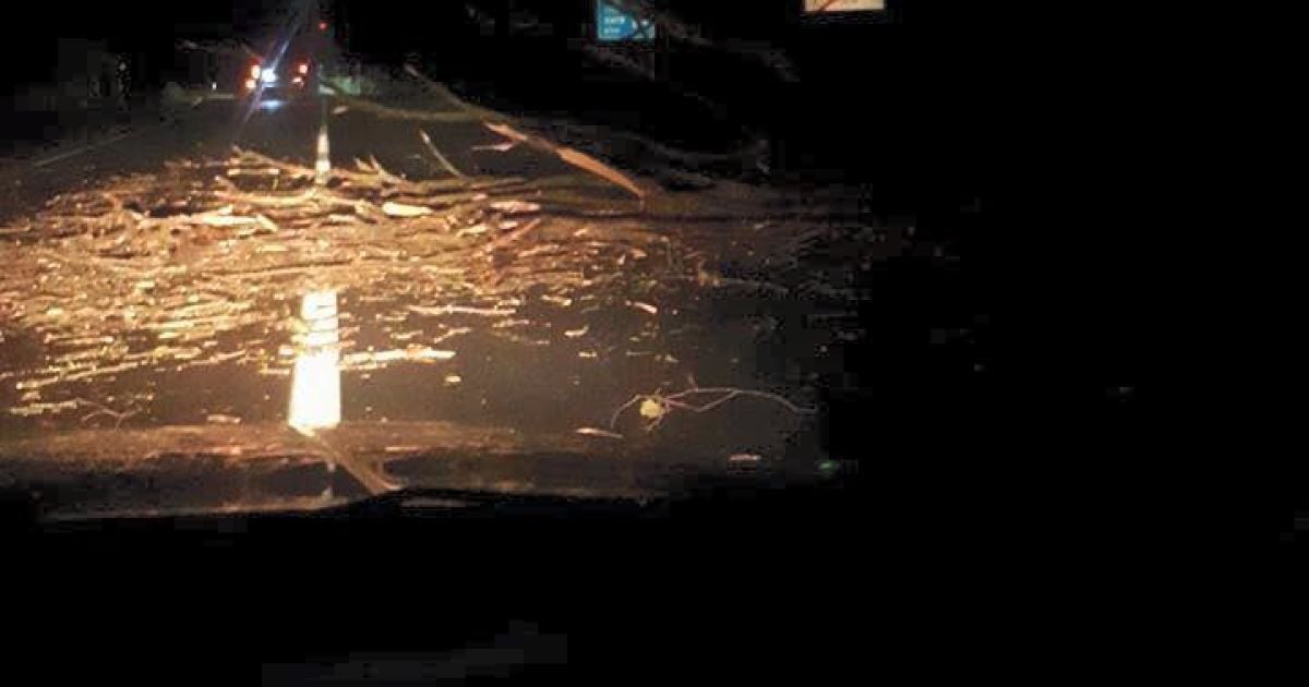 У Львові під час буревію впали дерева_3 / © facebook/Ігор Зінкевич