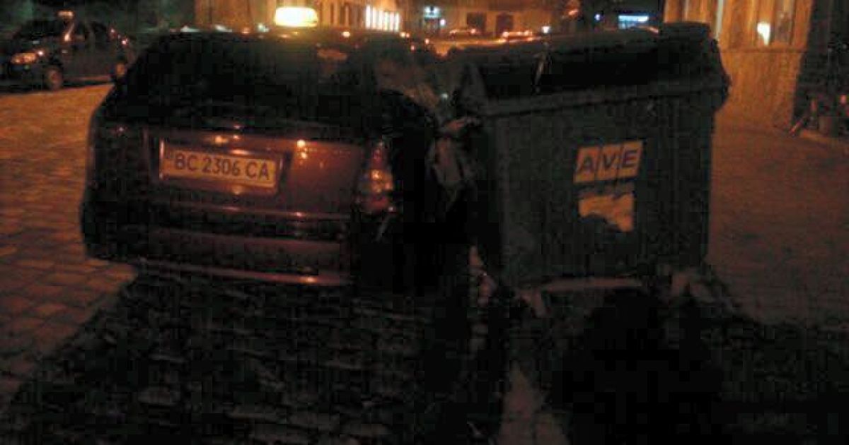 У Львові під час буревію впали дерева_10 / © facebook/Ігор Зінкевич