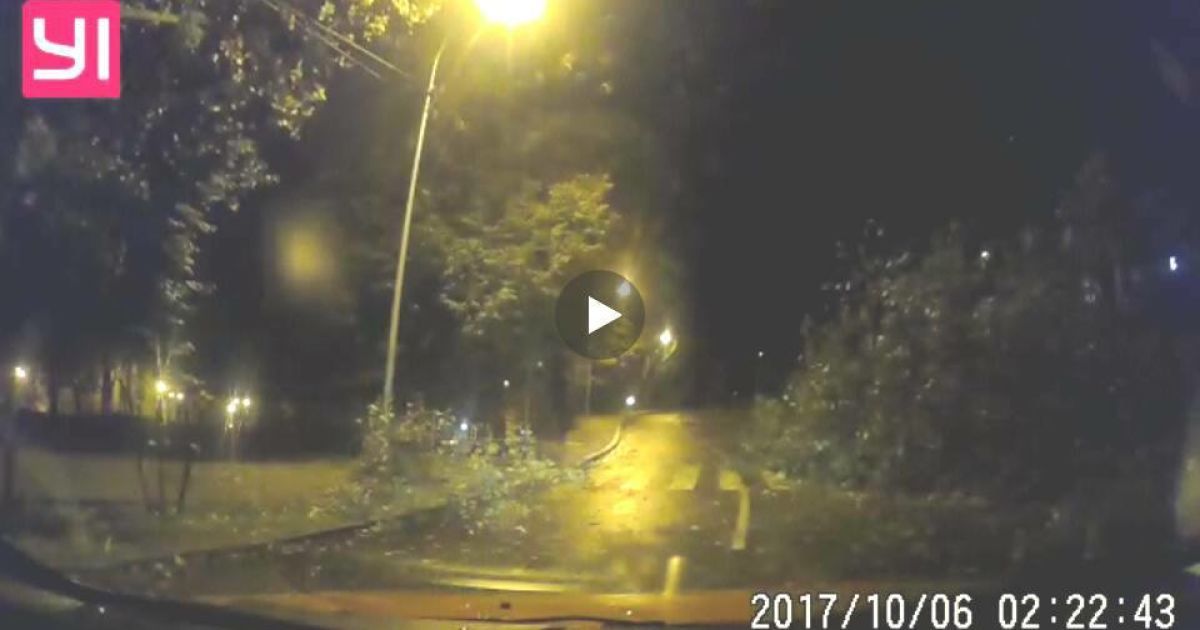 У Львові під час буревію впали дерева_2 / © Facebook/Варта 1