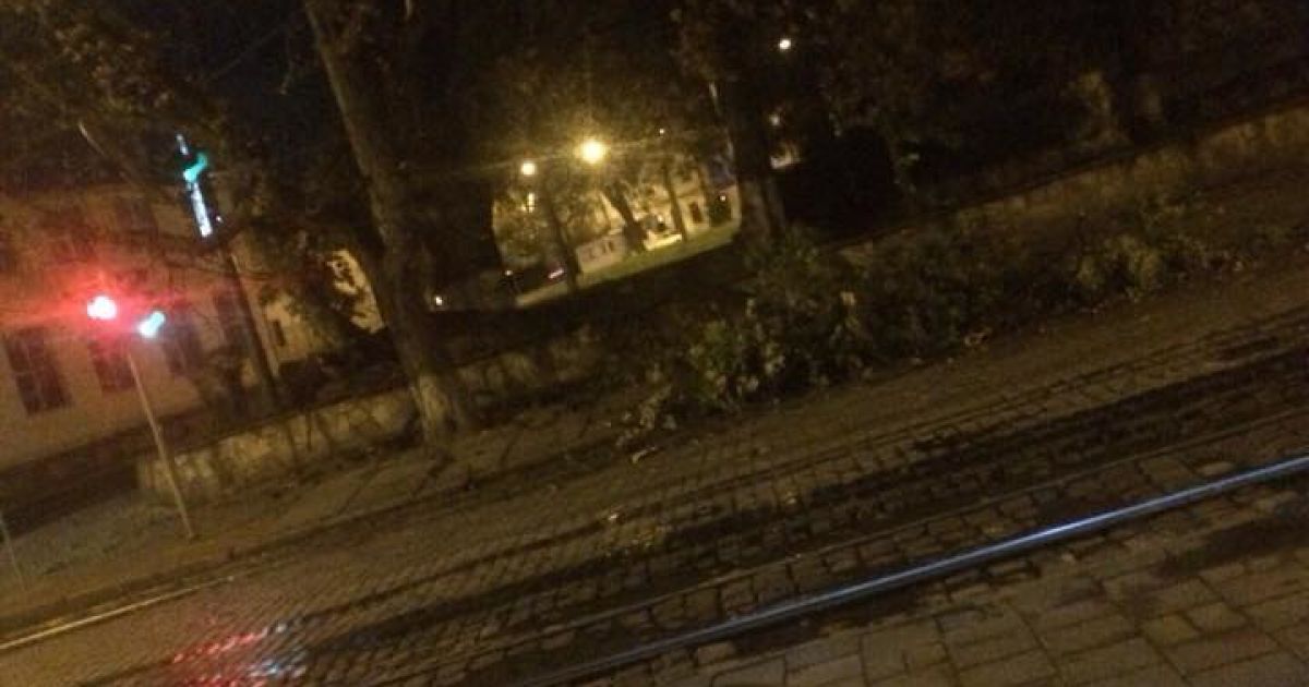 У Львові під час буревію впали дерева_11 / © facebook/Ігор Зінкевич
